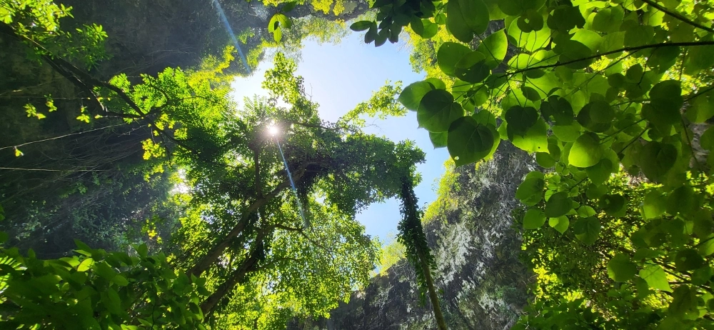 Onze nieuwsbrief is uit!