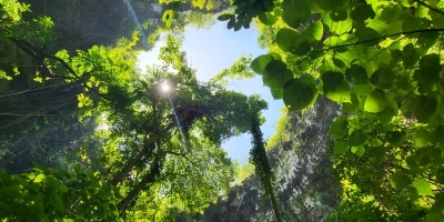 Onze nieuwsbrief is uit!